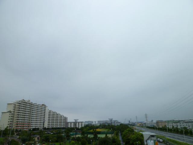 View photos from the dwelling unit. View from the balcony of the south.