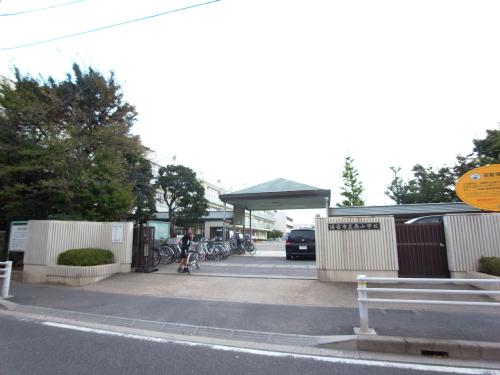 Primary school. 260m until the Municipal Minami Elementary School (Elementary School)