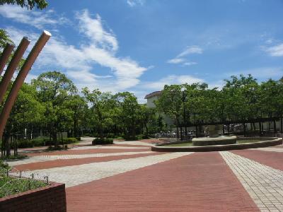 Other local. It will be from playing the children on site