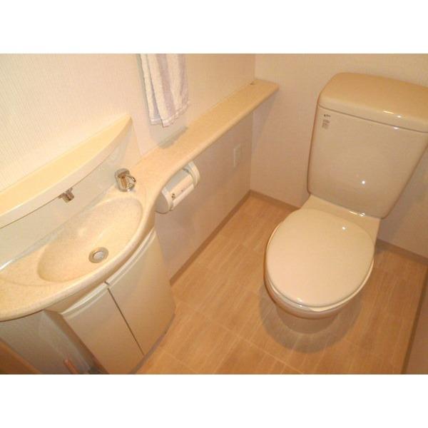 Toilet. Hand washing is an independent type