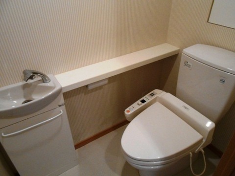 Toilet. Toilet