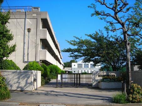 Other. Mihama junior high school (about 390m)