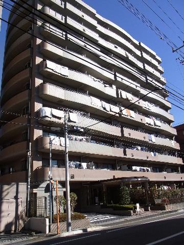 Local appearance photo. Local (June 2013) Shooting