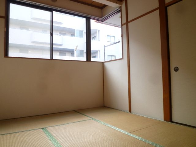 Living and room. Windows of many Japanese-style