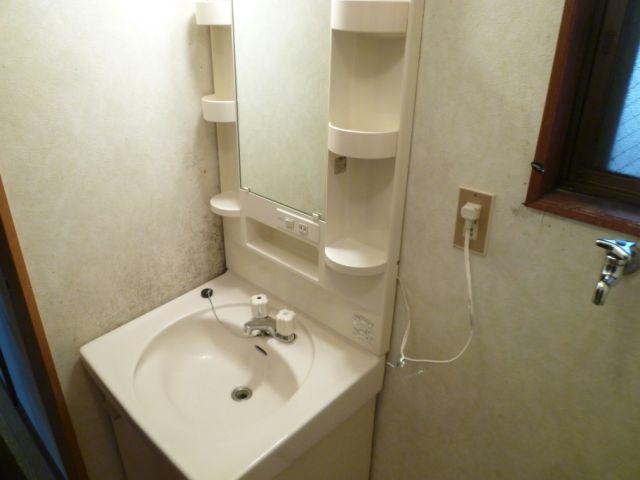 Washroom. Bathroom vanity