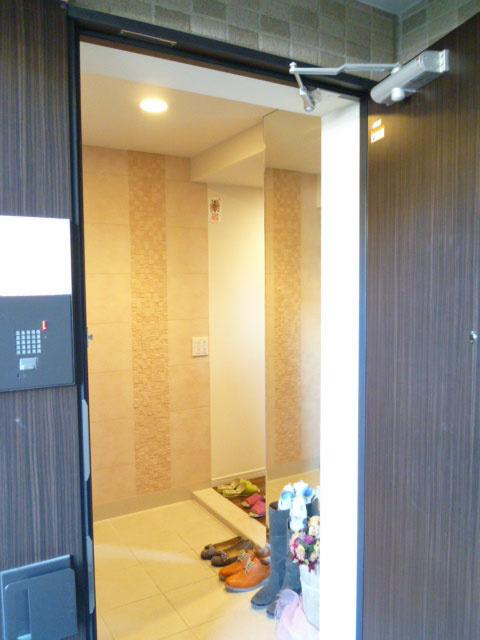 Entrance. Mounting a full-length mirror and Ecocarat