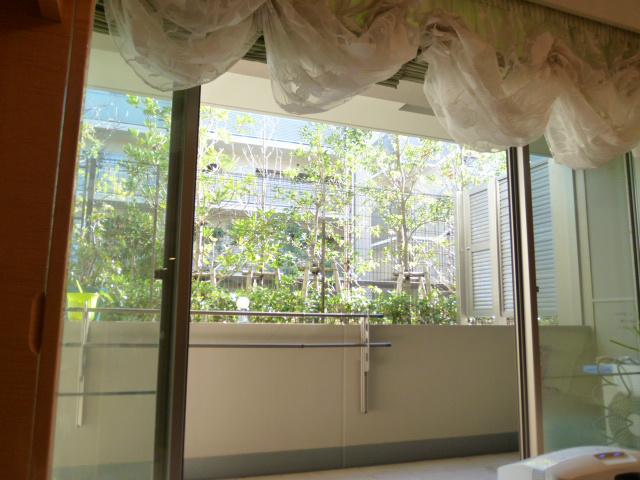 Other introspection. Courtyard of Madosaki will delight the look throughout the year