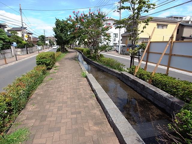 Other. A 1-minute walk from the ship 圦緑 road