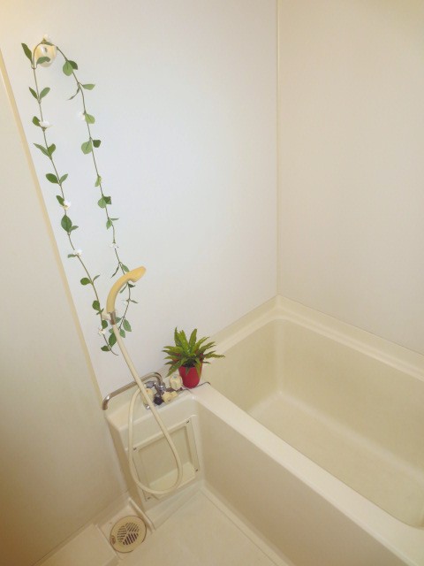 Bath. Not attached decorative fixtures