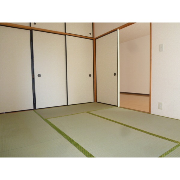 Other room space. Japanese style room