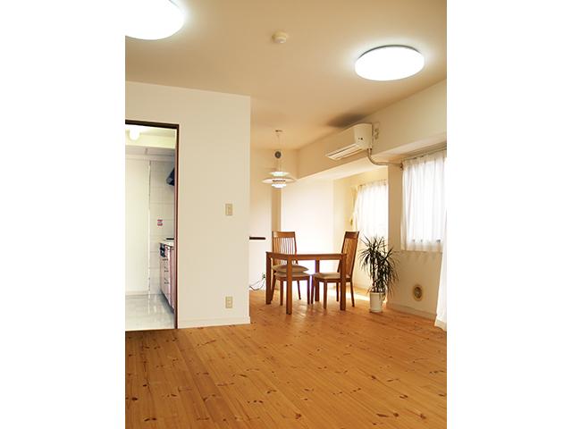 Living. For indoor clean your