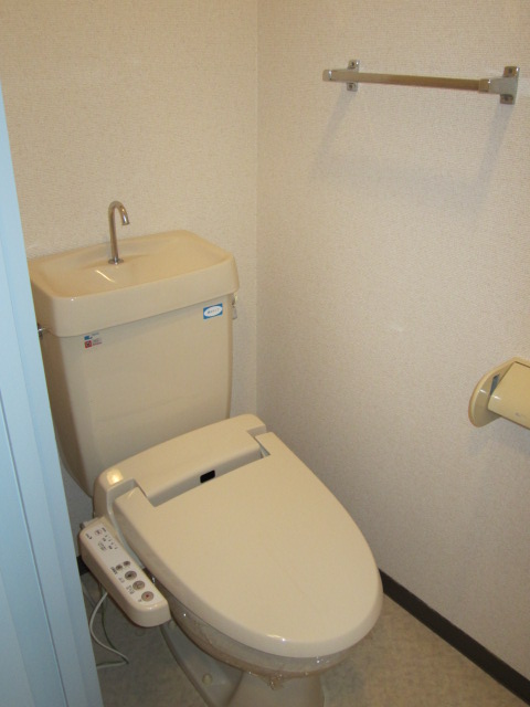 Toilet. With hot-water heating toilet seat