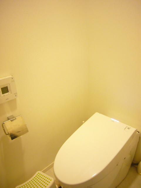 Toilet. toilet Cleaning function with tankless toilet.