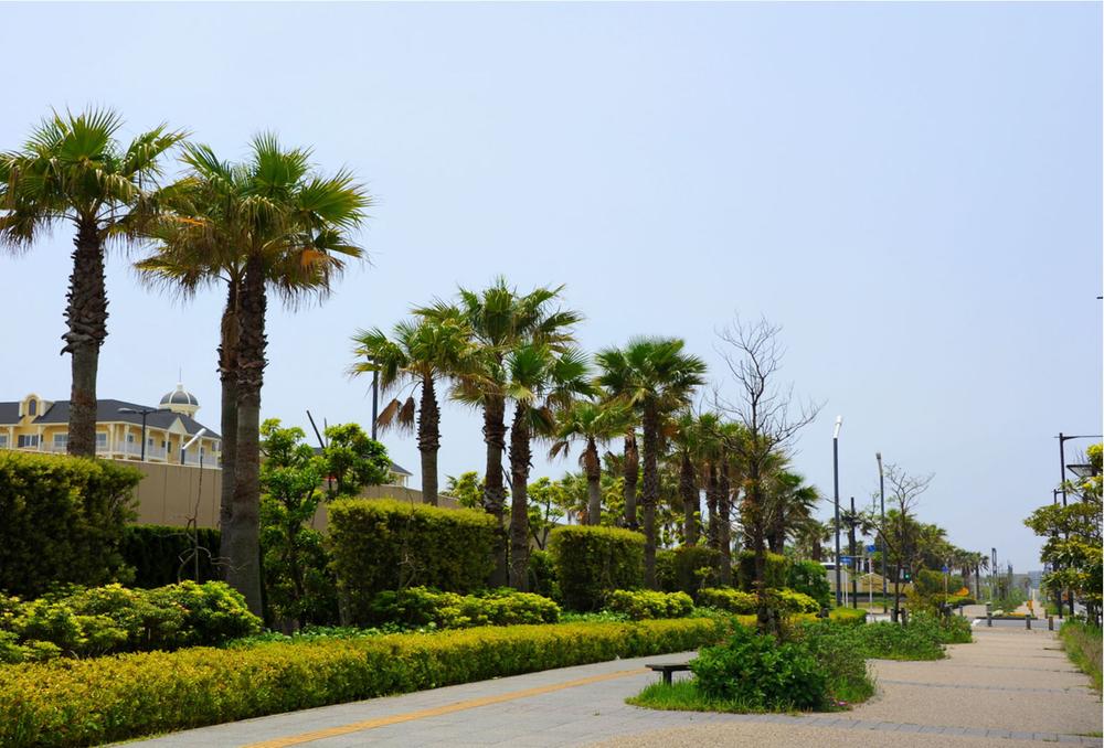 Other Environmental Photo. Up to 280m park to Park Way, You are invited to palm trees.