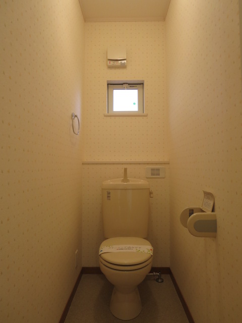 Toilet. It comes with a hanging cupboard in the toilet