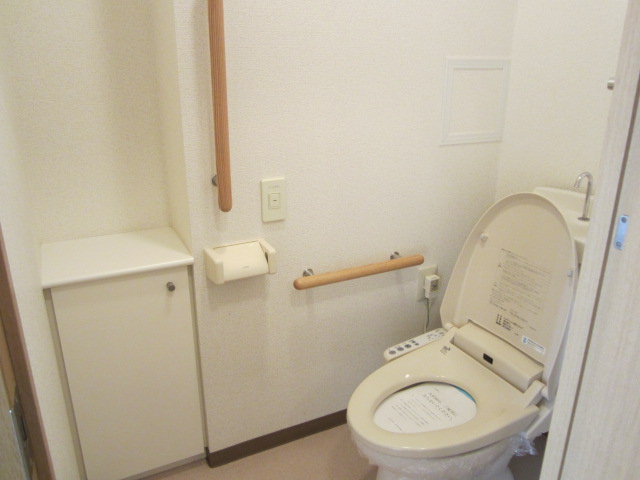 Toilet. Also safe for the elderly with a handrail