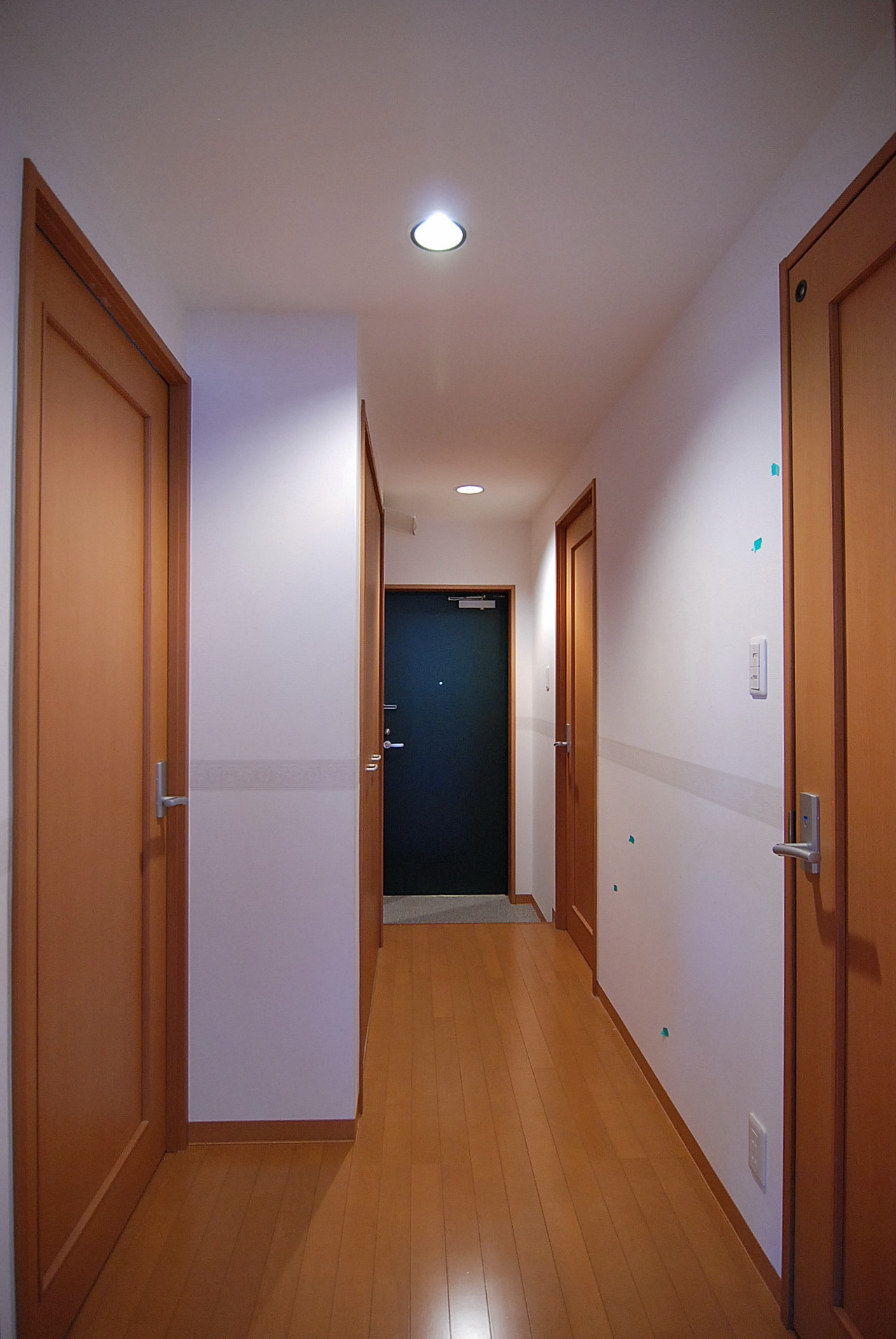 Garden. Corridor space It is designed than normal corridor width to spread.