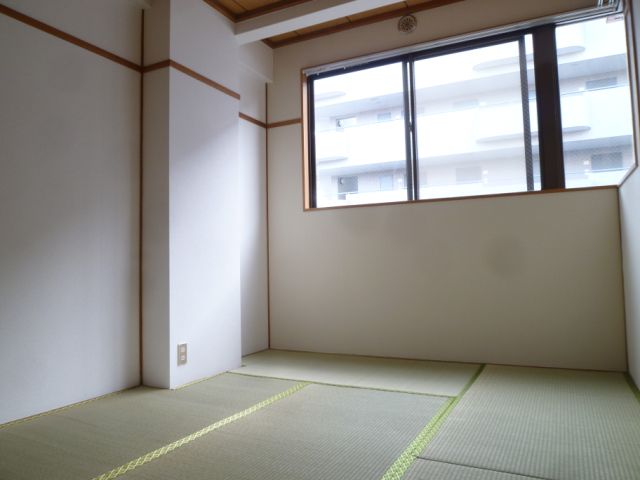 Living and room. Windows of many Japanese-style