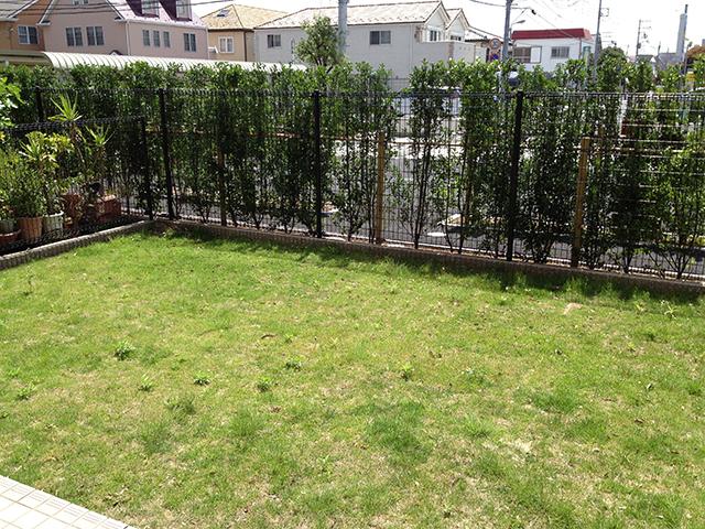 Garden. Good per sun because there is no higher in the front building.