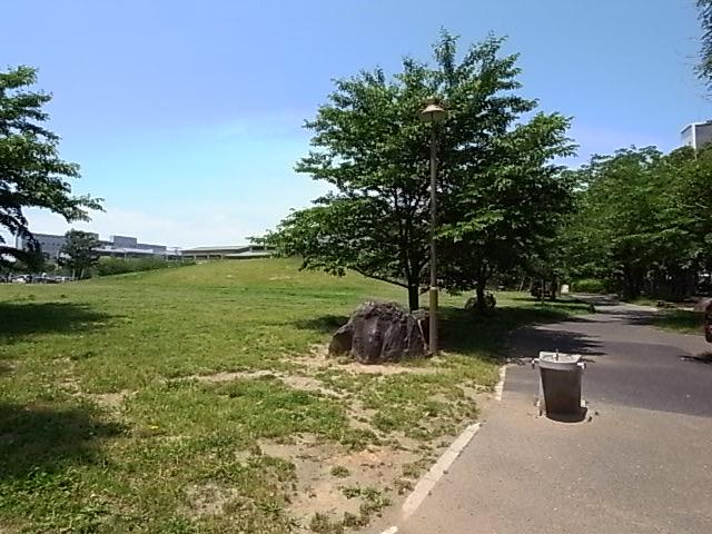 park. 230m until Wakashio park