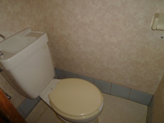 Toilet. It is a Western-style toilet. 