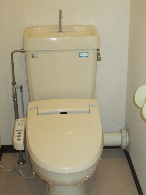 Toilet. With hot-water heating toilet seat