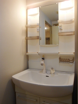 Washroom. Vanity shower handle