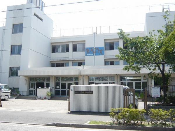 Primary school. Mimyo River 700m up to elementary school (elementary school)