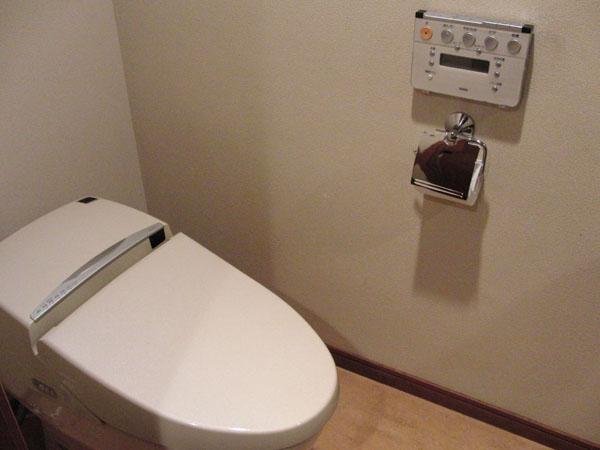 Toilet. Washlet-integrated tankless toilet