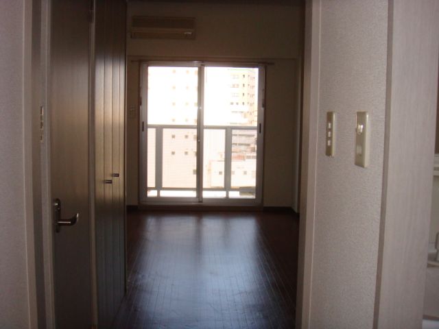 Living and room. Landscape as seen from the hallway.