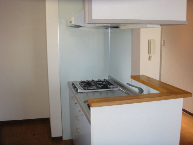 Kitchen. Kitchen is equipped with two-burner gas stove.