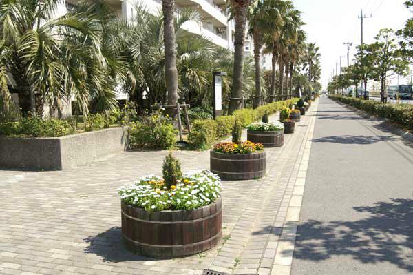 Other. Planting was integrated management was attentive