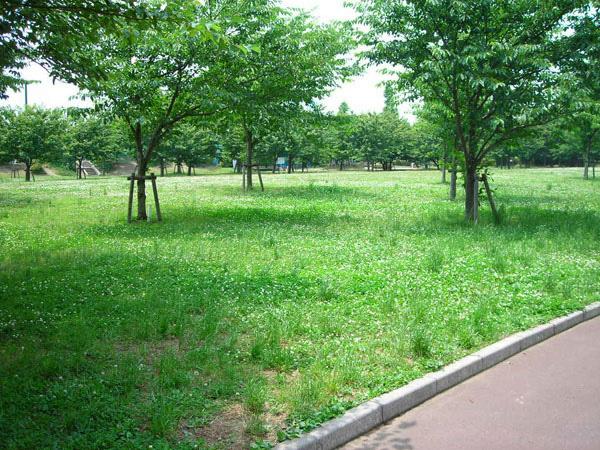 Other. Takas Central Park