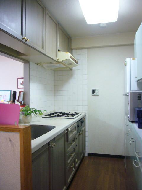 Kitchen. Counter type system Kitchen.