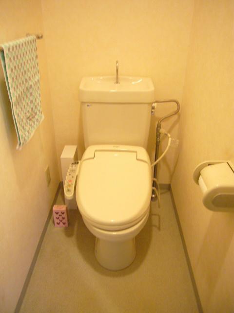 Toilet. The toilet is a hot-water cleaning toilet seat.