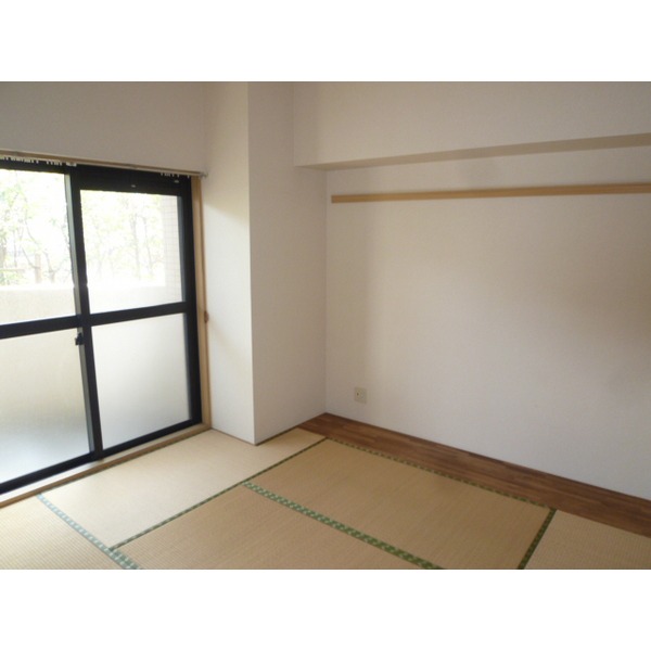 Other room space. Japanese style room