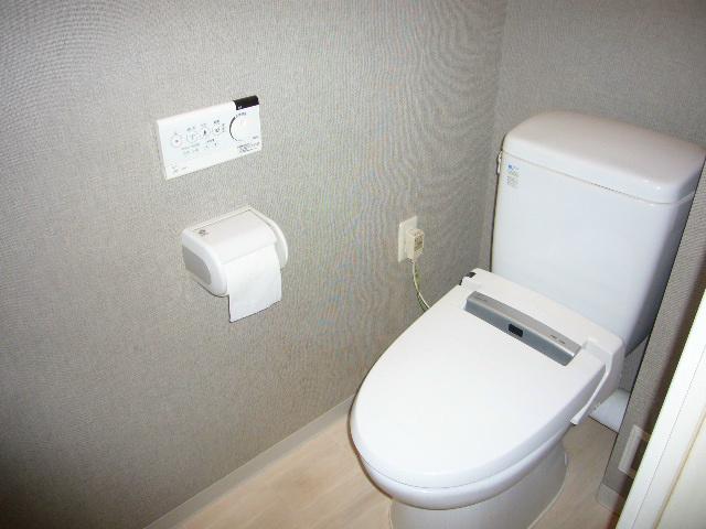 Toilet. toilet A shower feature.