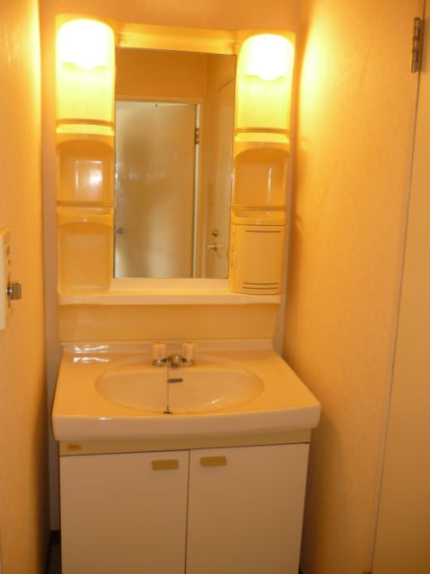 Washroom. Bathroom vanity