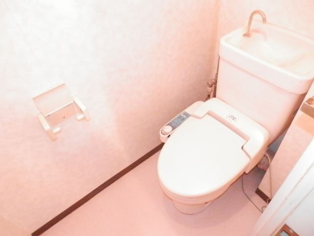 Toilet. It comes with a bidet function.