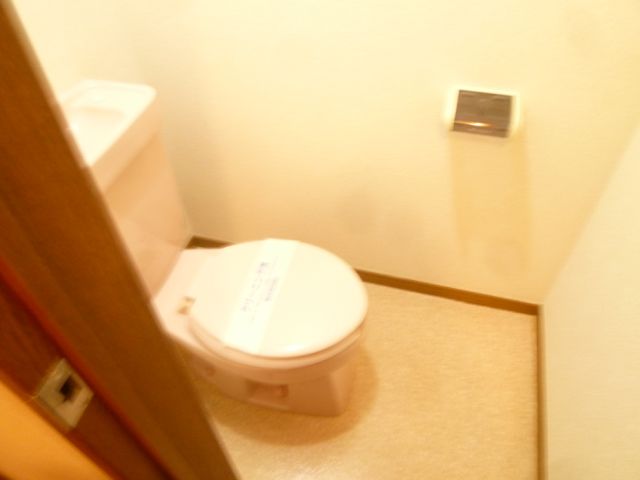 Toilet. Western-style toilet