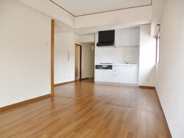 Living and room. Spacious bright LDK
