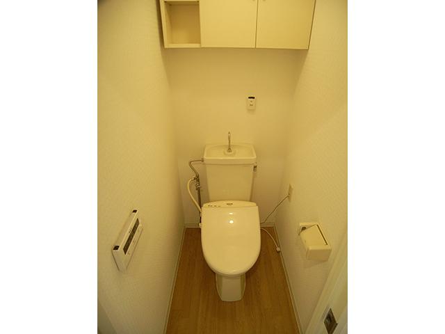 Toilet. Cleaning toilet seat with toilet