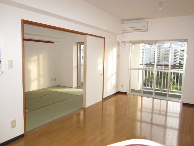 Living and room. Spacious living and Japanese-style room
