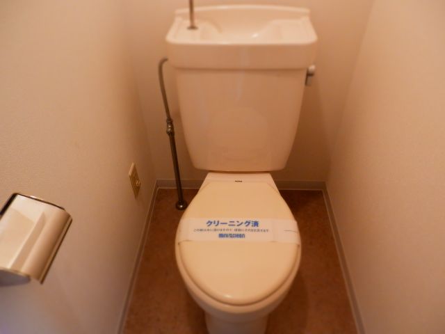 Toilet. Western-style toilet