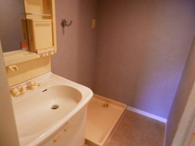 Washroom. Bathroom Vanity