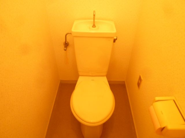 Toilet. Western-style toilet