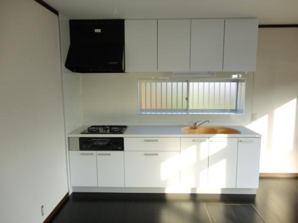 Kitchen. Yamaha system kitchen top plate and sink artificial marble also clean Easy With less scratches!