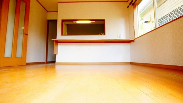Living. Indoor shooting
