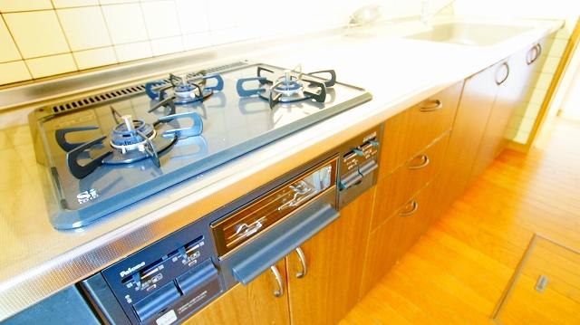 Kitchen. Indoor shooting