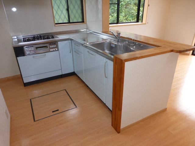 Kitchen. Local (10 May 2013) Shooting
